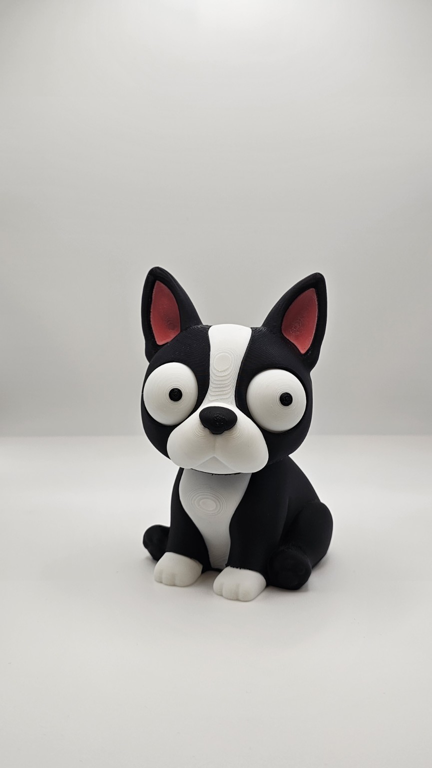 Black & White Big-Eyed Dog - view 1