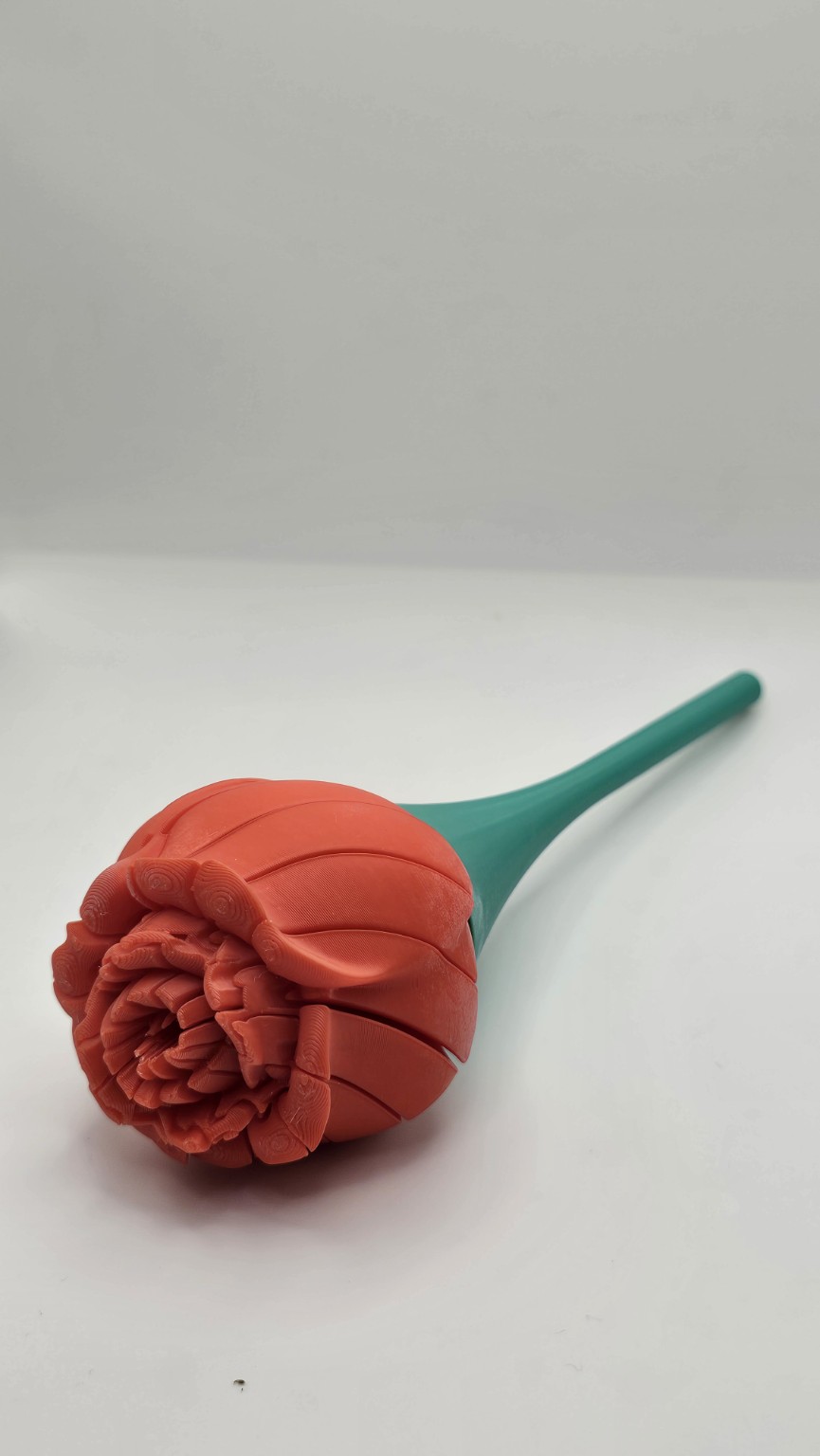 Articulated Rose - view 1